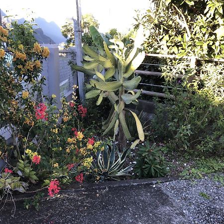 Le Bas De Cilaos Apartamento Exterior foto